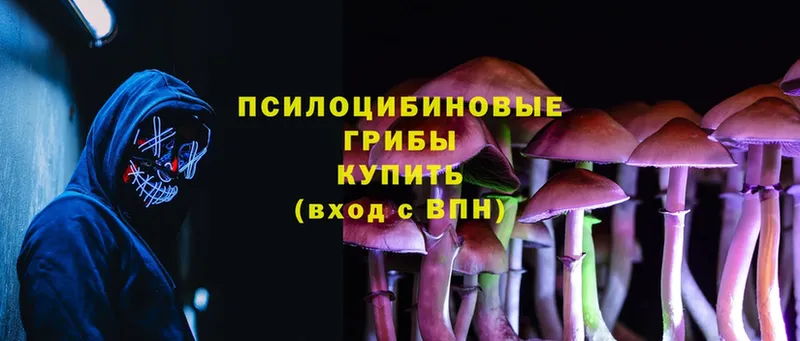 Псилоцибиновые грибы Magic Shrooms  Апрелевка 